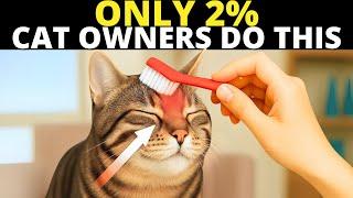 10 Things Cats Love and Only 2% of Owners Actually Do