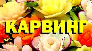 Галилео. Карвинг