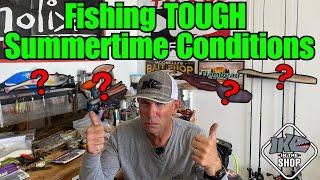 How to Bass Fish in TOUGH Summertime Conditions!! (NEED to Know!)
