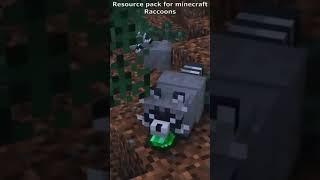 Best Minecraft Resource Pack for Raccoon Lovers Like You!/Ресурс пак для майнкрафт  #shorts