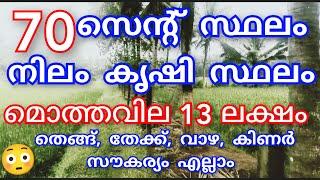 EP:512 |മൊത്തവില "13 ലക്ഷം " 70 സെന്റ് കൃഷി സ്ഥലം തെങ്ങ്, കിണർ സൗകര്യം വിലക്കുറവിൽ #agriculture