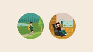 Wood Wise: Building Planet- and People-Friendly Homes