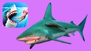 Hungry Shark World - Открываю новую акулу | РИФОВАЯ АКУЛА, Прохождение игры