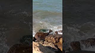 relax music sea
