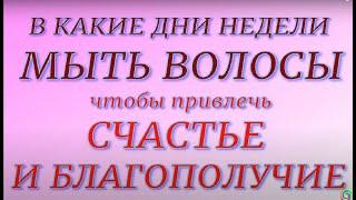 В какие дни недели мыть волосы, чтобы привлечь счастье и благополучие