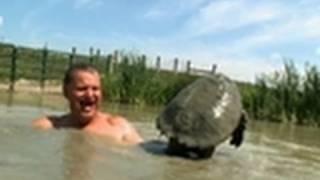 Bare-handing a Snapping Turtle | Call of the Wildman