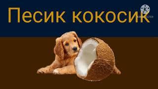 Песик кокосик