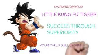 Davanand Samaroo Little Tigers Kung Fu