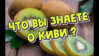 Киви - польза и вред для человека