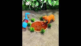 mini tractor mini cow mini water pump #shorts #shortsfeed