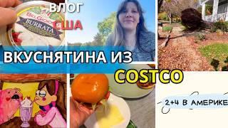 США Косячу с Вождением! Пробую Сыр из Costco Делаем Бургеры Праздник в США Семейный влог