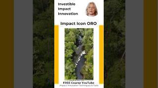 The Impact Effectivity of ORO: Investible Impact Innovations, my free course