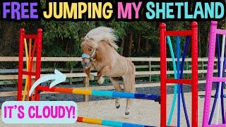 FREE JUMPING MY SHETLAND PONY CLOUDY! *HILARIOUS *