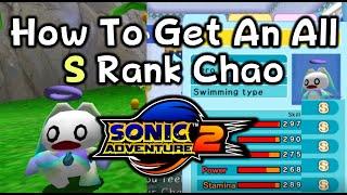 How To Get An All S Rank Chao In Sonic Adventure 2 (Quick Guide)