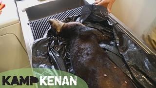 Otter Pups and Necropsy : Kamp Kenan S2 Episode 9