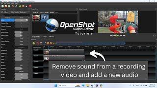 How to remove audio from recording video and add new music in OpenShot?