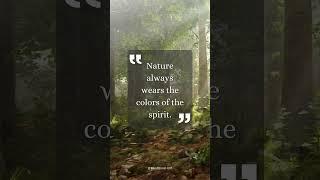  Nature’s Spirit: A Reflection of Your Soul  #motivation #embraceyourstrength #nevergiveup