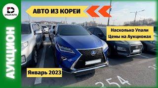 Новый сезон 2023! Цены на аукционах в Корее