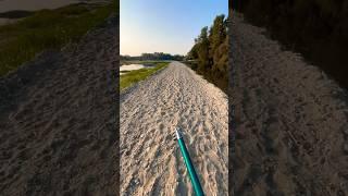  Fishing Morning ️ #shorts #fishing #morning #sun #river #spining #reelfishing