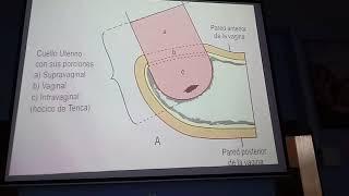 clase 3 embrio parte1