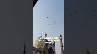 Unveiling the rich history and architectural wonders of the Jama Mosque with our knowledgeable guide