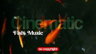 Fish Cinematic Background music  no copyright