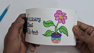 growing plant || flipbook