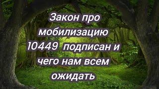 Итоги и главные выводы из текста закона 3633-IX о мобилизации.Как это будет работать и что нас ждёт