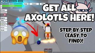 How to find *EVERY* AXOLOTLS in Animal Simulator - Axolotl UPDATE (Roblox)