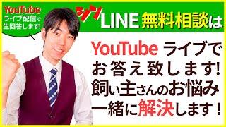 【059】LINE無料相談にプロドッグトレーナーが直接返信枠