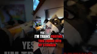 Yes, I'm Trans... #furry #fursuit #meme #cosplay