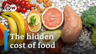 Is our food costing us more than we pay? | DW Business