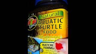 Aquatic Turtle Haul