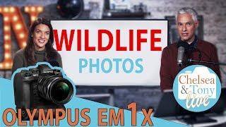 Olympus E-M1X rumors, WILDLIFE Photo review, Chit Chat (TC LIVE!)