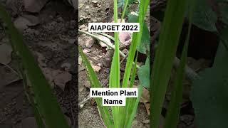 Answer will be posted in description box after 3 days Aiapget 2022 Image Based Questions