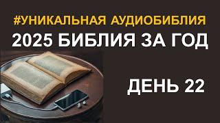 День 22.  Библия за год.  Библейский ультрамарафон портала «Иисус»