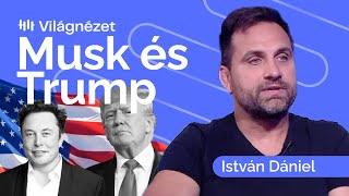 Félhetnek a demokraták: az új Trump-kormányba Musk is szerepet vállalna - István Dániel