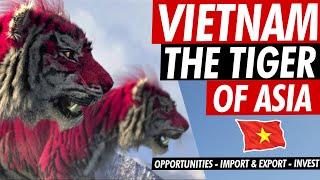 Vietnam Economy 2022 | NEXT BIG Asian TIGER | Opportunities in Business, Manufacturing and Exports