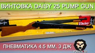 Пневматическая винтовка Daisy 25 Pump Gun (4.5 мм, 3 Дж) видео обзор 4k