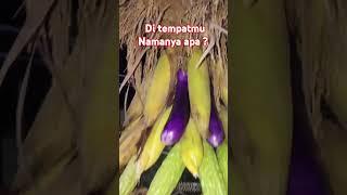 Wulan Legeno Dalam Adat Jawa , merupakan Tradisi Rasa Syukur kpd Sang Pencipta dgn Hasil Panen 