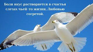 Поэзия от всего сердца/ А вы видели, как убивают Любовь? Рассказываю любимую поэзию