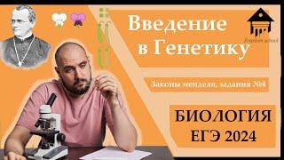 Введение в ГЕНЕТИКУ. Законы Менделя + ГРУППЫ КРОВИ. Решение задач №4 |ЕГЭ БИОЛОГИЯ|Freedom|