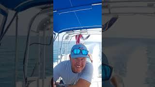 Reel Deal Sportfishing is live!