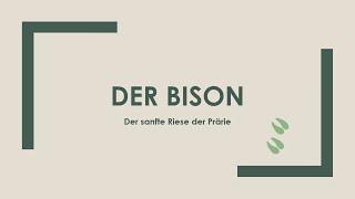 Der Bison