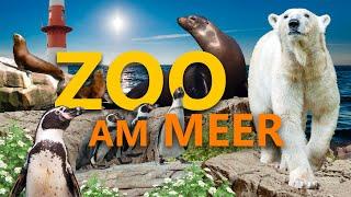 Zoo am Meer in Bremerhaven | Zoo-Eindruck