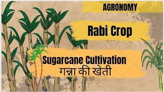 CROP PRODUCTION TECHNOLOGY (Rabi Crop)| Lecture - 3 Sugarcane गन्ना | Go Agro