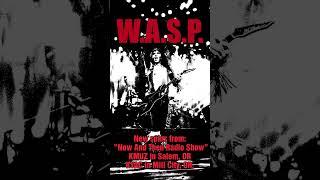 Some new radio spins for W.A.S.P. Paint It Black.
