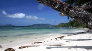 Axiom - Show Them Life (HD)