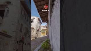 ️Giant Supportive Banana Smoke (Inferno)