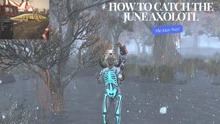 You're Fishing Wrong in Fallout 76 – Catch the Banded Axolotl the EASY Way!
